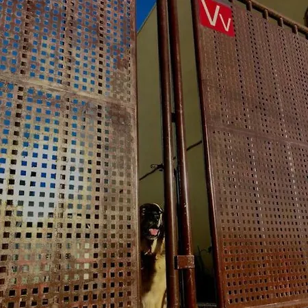 Apartmán Acogedor Verodes De Habitacion. San Miguel de Abona